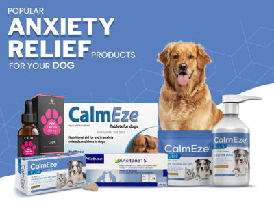 Popular Anxiety Relief Products for Your Dog
